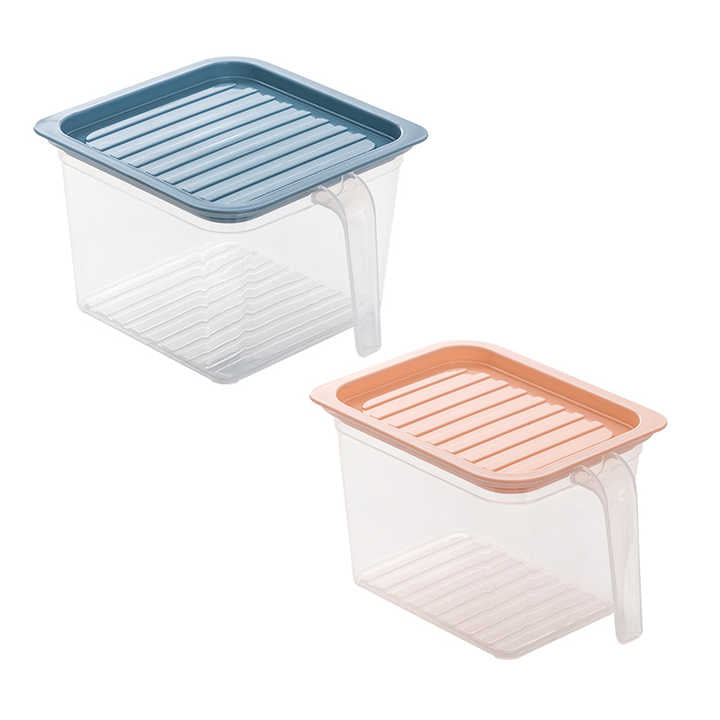 Fridge Container with Handle & Lid (Set of 6)